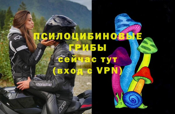 ГАЛЛЮЦИНОГЕННЫЕ ГРИБЫ Волосово
