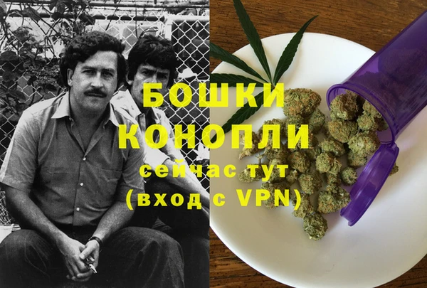 ГАЛЛЮЦИНОГЕННЫЕ ГРИБЫ Волосово