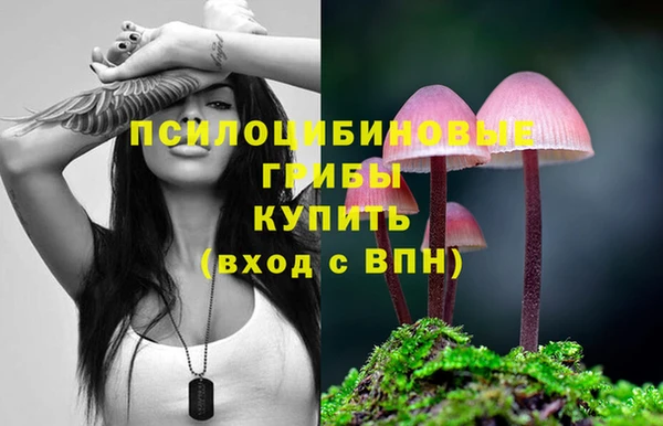 a pvp Володарск