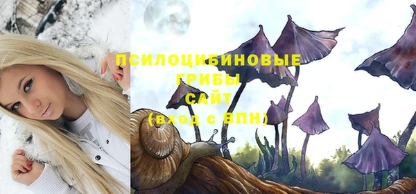 MDMA Волоколамск